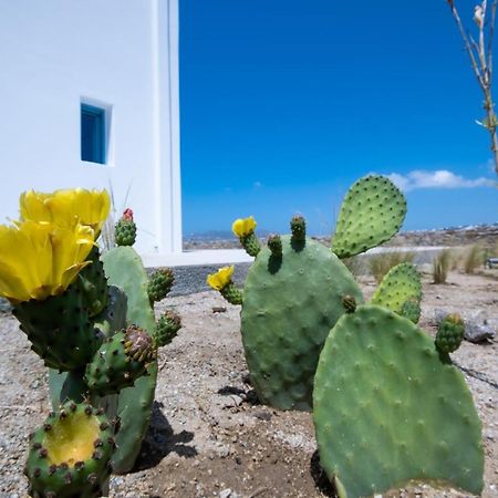 Lala Villa with Private pool, by Center Ornos  Esterno foto