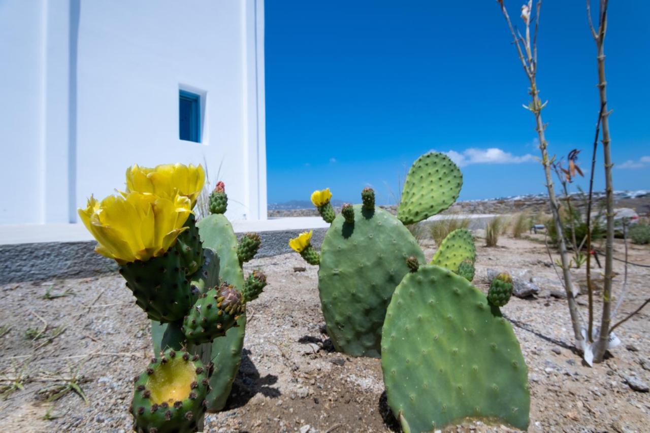 Lala Villa with Private pool, by Center Ornos  Esterno foto